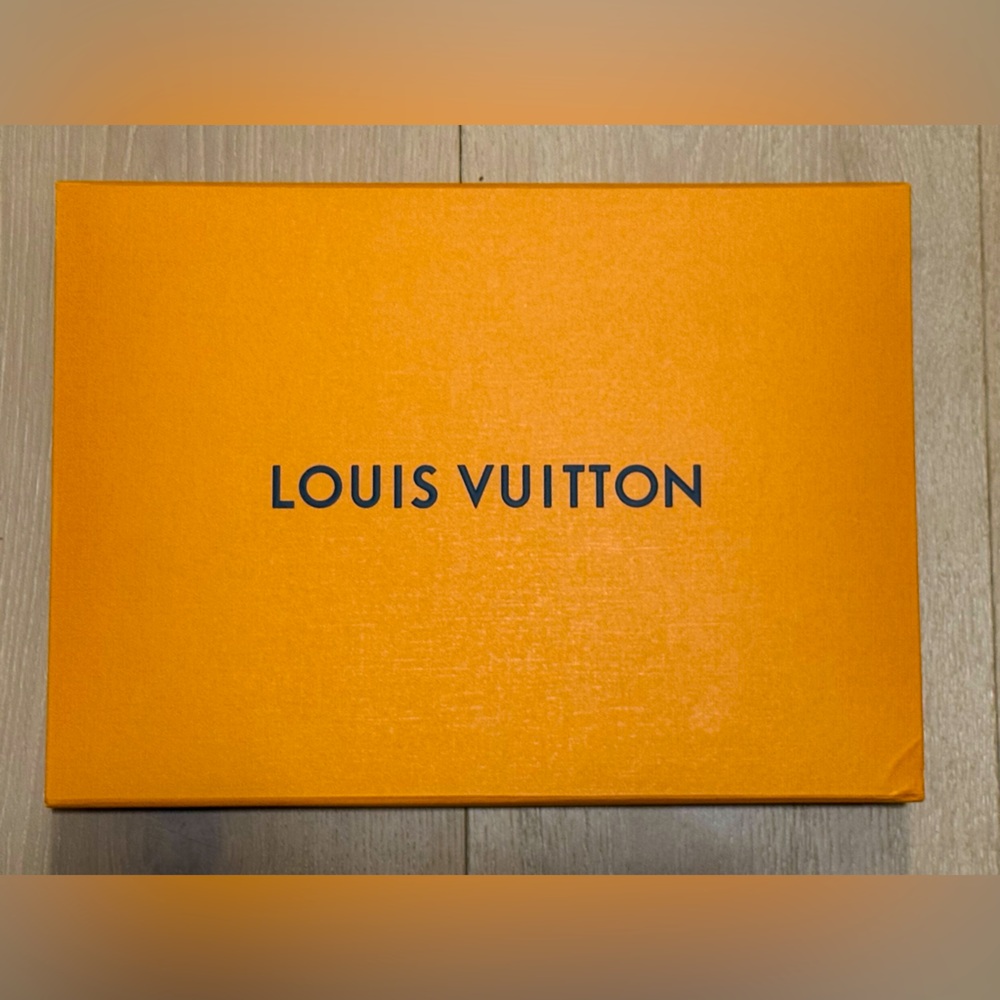 Louis Vuitton Box and Bag